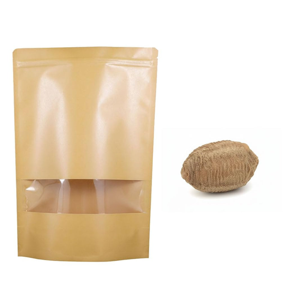 Generic Mantis Eggs with observation pack window for live hatching in education or home use.