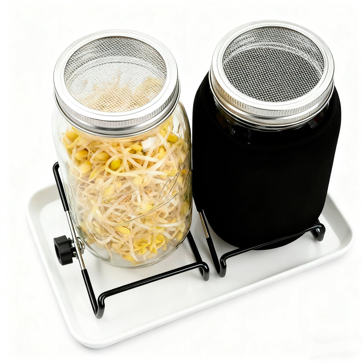 Generic mason jar plant cover doubles as a versatile light shield