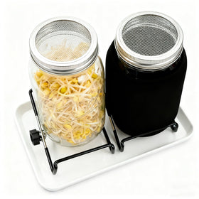 Generic mason jar plant cover doubles as a versatile light shield