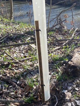 Generic Miracle Tree Tube razor-line perforation safeguards the tree if removed later.