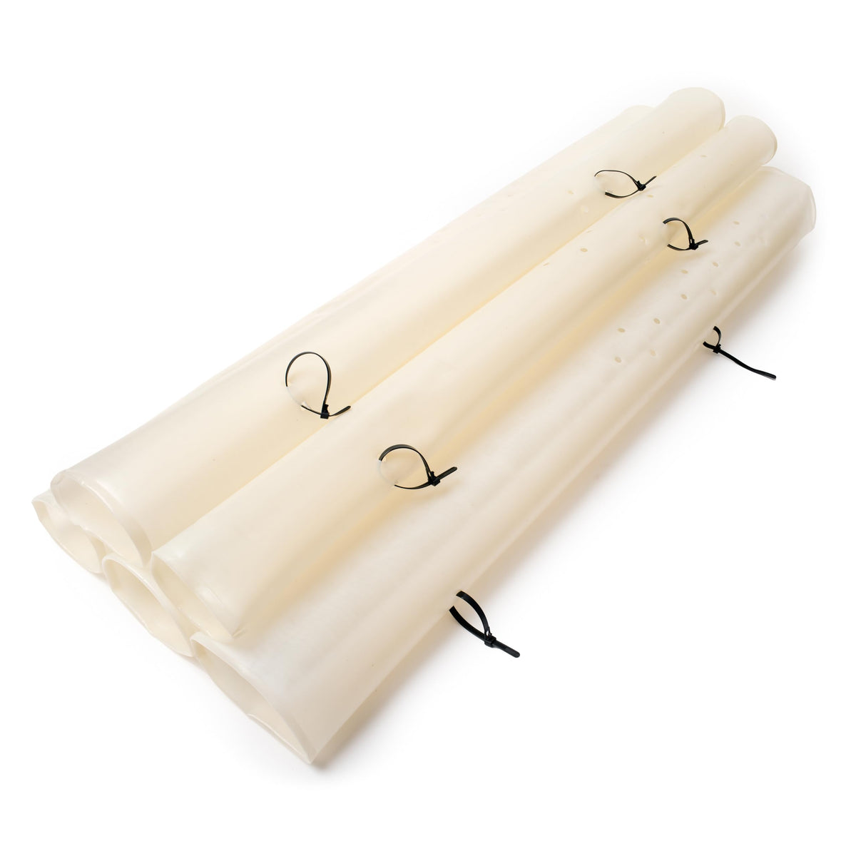 Generic Miracle Tree Tube tree shelter protects a young seedling from sun and wind.