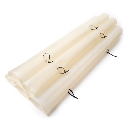 Generic Miracle Tree Tube tree shelter protects a young seedling from sun and wind.