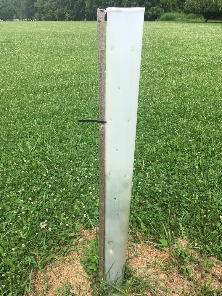 Generic Miracle Tree Tube demonstrates easy setup and usage in a garden bed.