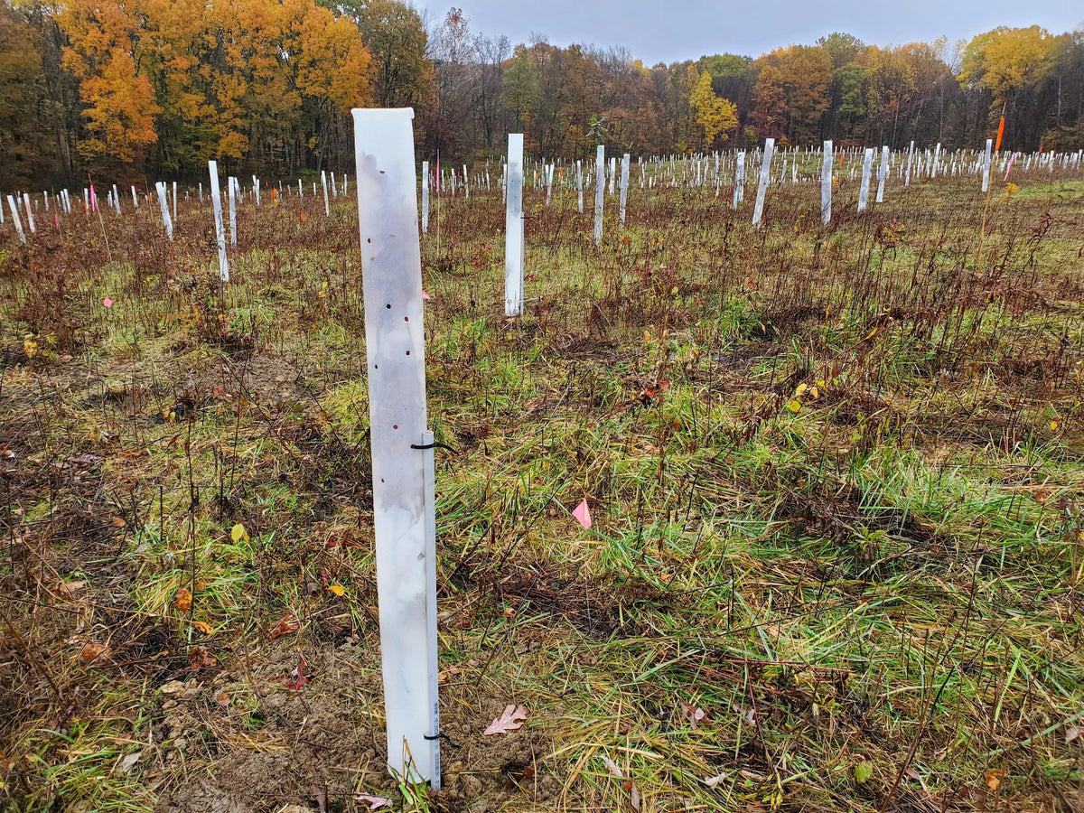 Generic Miracle Tree Tube venting system promotes airflow around a growing seedling.