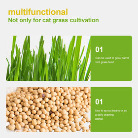 Generic multi-plant hydroponic system enables growing catnip or microgreens beside cat grass.
