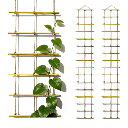 Generic natural bamboo ladder trellis, 79in by 12in, supports climbing vines outdoors.