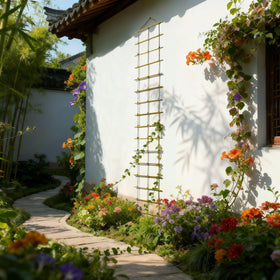Indoor use: Generic bamboo ladder trellis elevates potted plants vertically.