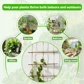Outdoor wall setup with Generic bamboo ladder trellis, ideal ivy support.