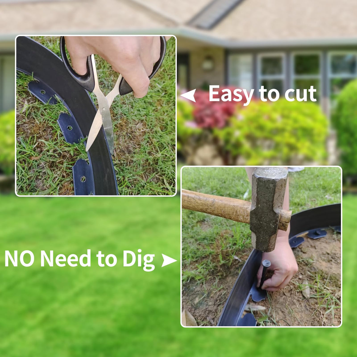 Generic neat edge defines a garden bed with a clean border.