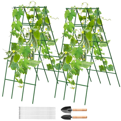 Generic no-assembly cucumber trellis with A-frame supports climbing vines for healthier yields.