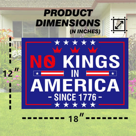 Generic No Kings In America sign double-sided print for maximum attention