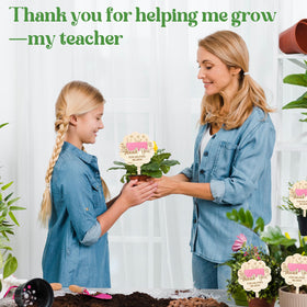 Generic gift-ready plant stake suitable for office or home décor.