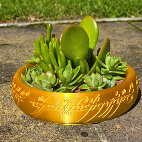 Generic One Ring planter desk display fits desks and shelves