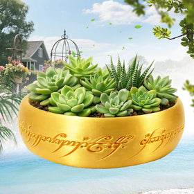 Generic One Ring succulent planter top view highlights the iconic ring design for display