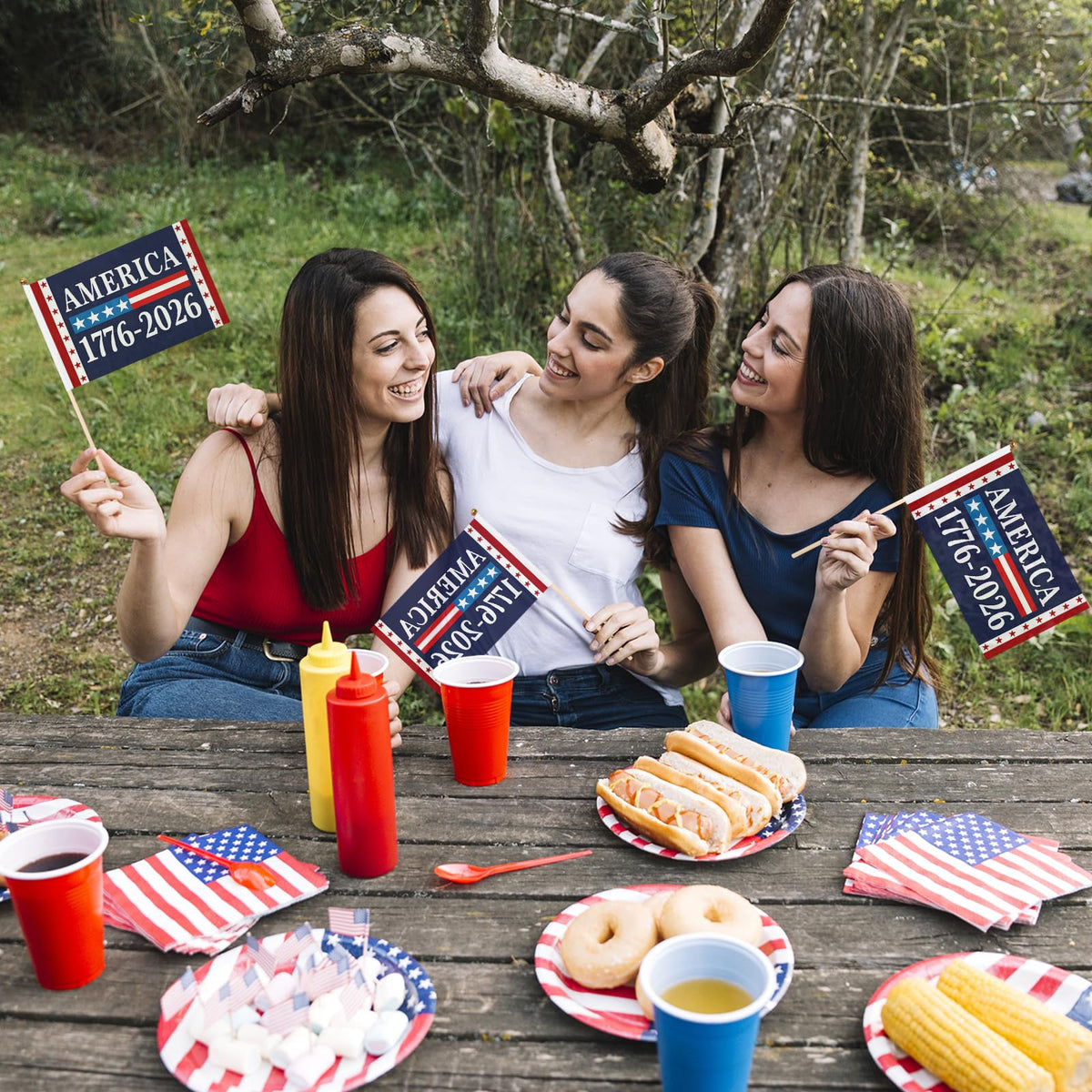 Generic decorative flags for home, garden, or porch during patriotic events.