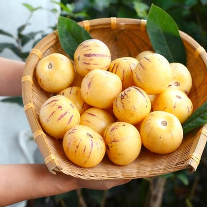 Generic Pepino Melon seeds pack for home garden, easy start for beginners.