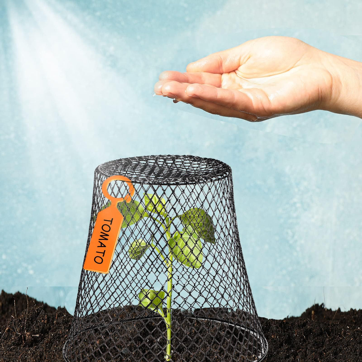 Generic pest-deterrent cloche guards outdoor beds against rabbits and birds.