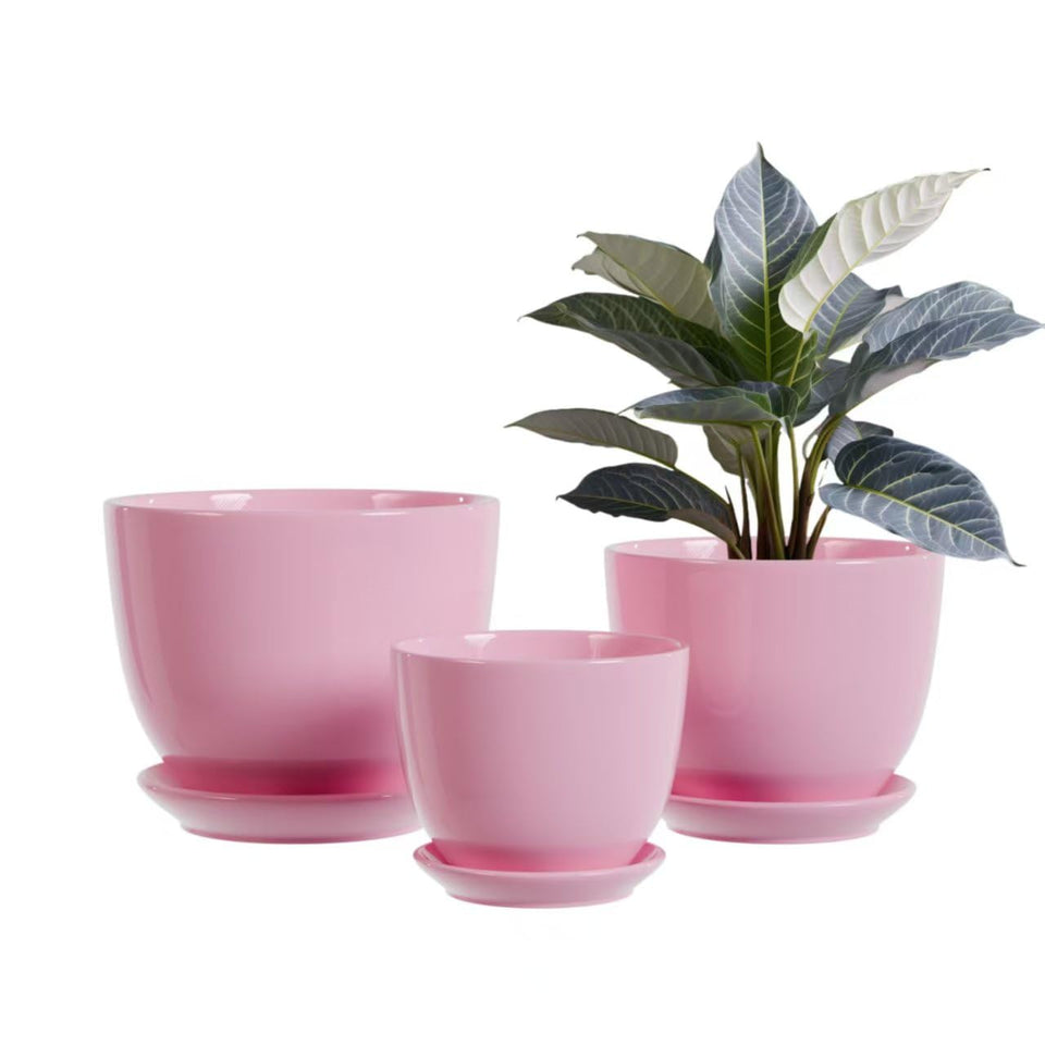 Generic pink ceramic flower pot 6.75-inch diameter with drainage for healthy root growth