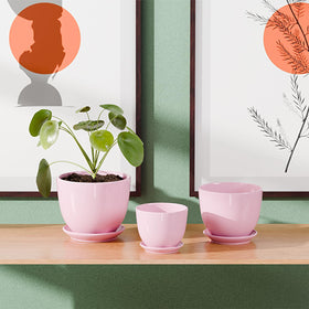 Generic pink ceramic pot with matching saucer for a tidy indoor plant display