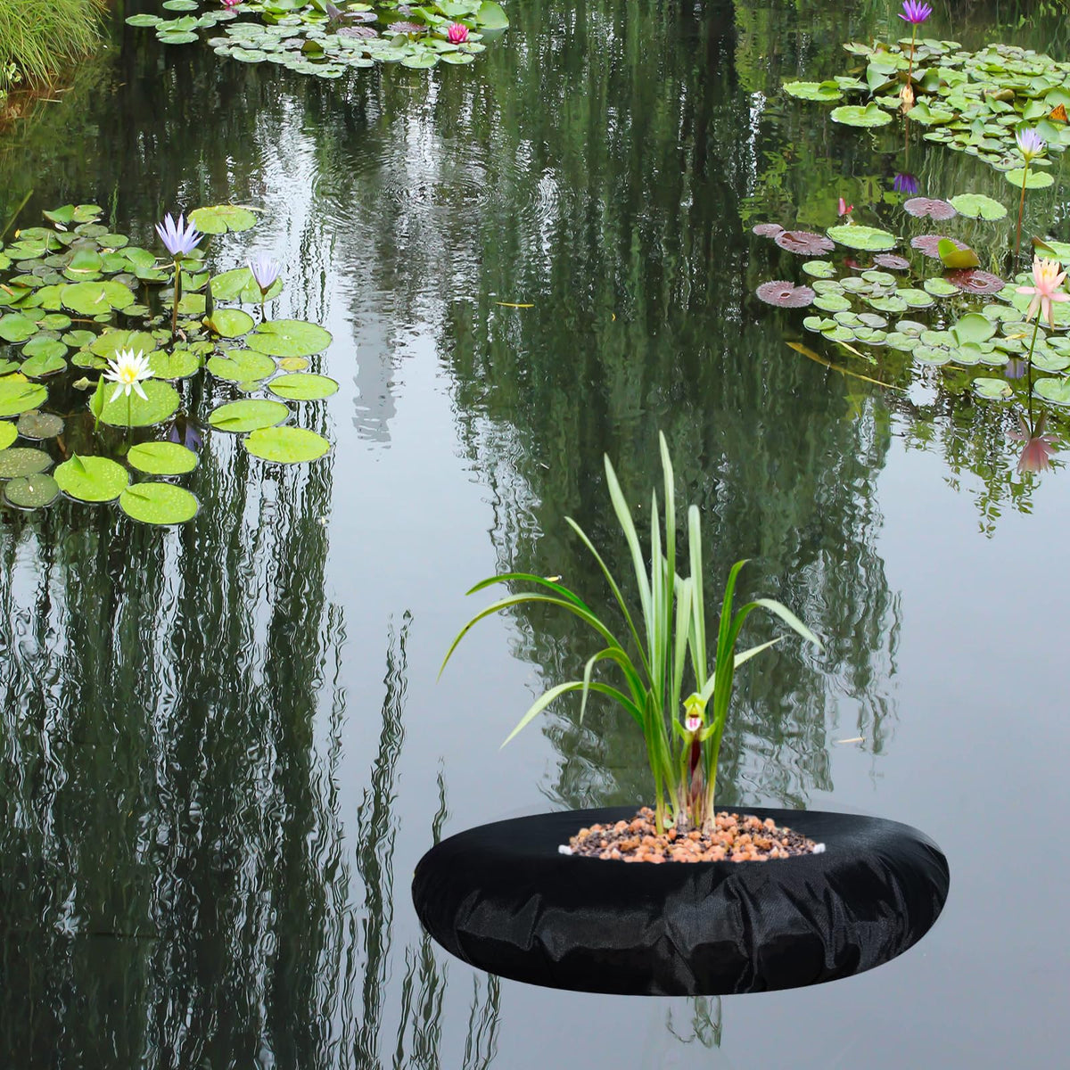 Generic 2-pack pond baskets enhance pond ecology with natural shade