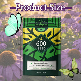 Generic Purple Coneflower Seeds ideal for borders and prairie-style plantings