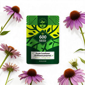 Generic Purple Coneflower Seeds suitable for cut flower arrangements