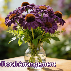 Generic Purple Coneflower Seeds attract bees and butterflies for pollination