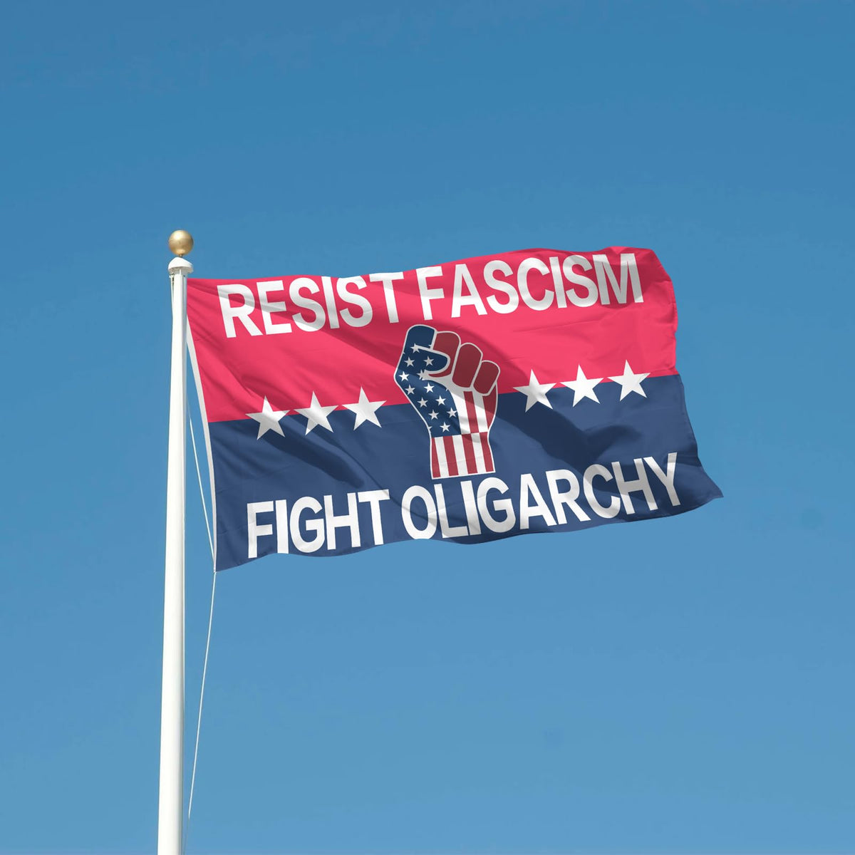 Generic Resist Fascism flag in street protest setup with brass grommets