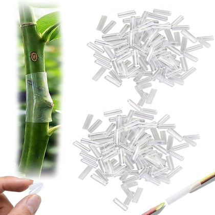 Generic silicone grafting sleeve on tree graft site supports cambium contact for robust grafting