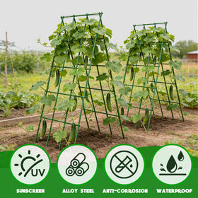 Generic Space-saving folding trellis fits small spaces when stored.