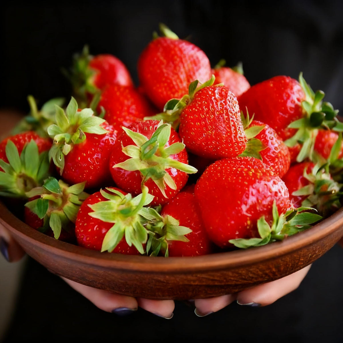 Generic strawberry seeds in a container garden on a patio.