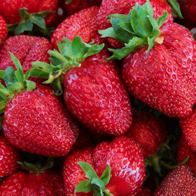 Generic strawberry seeds illustrate season extension with multiple harvests possible.