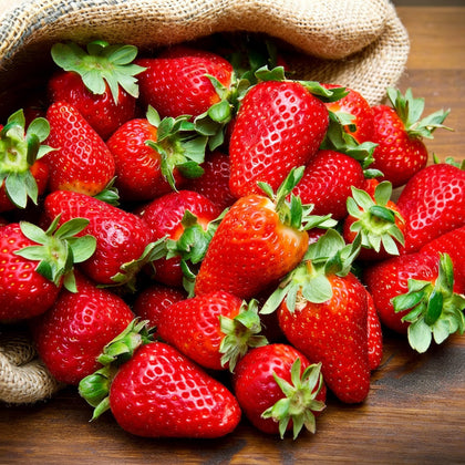 Generic strawberry seeds planting kit shows easy indoor germination for beginners.