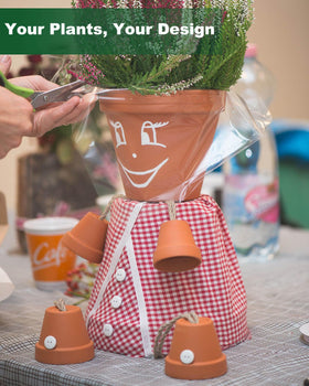 Generic succulent terracotta pot suitable for indoor and outdoor displays.