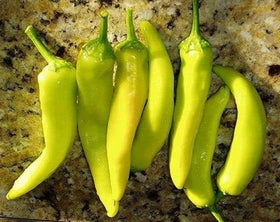 Generic Sweet Hungarian Yellow Wax Pepper plant with fruit, great for containers and small spaces.