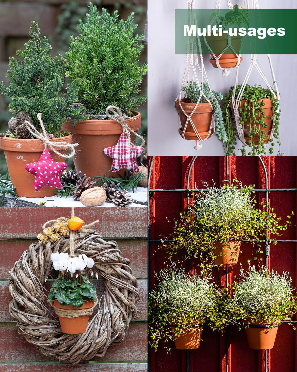 Generic terracotta pot pack for multi-use plant decor and care.
