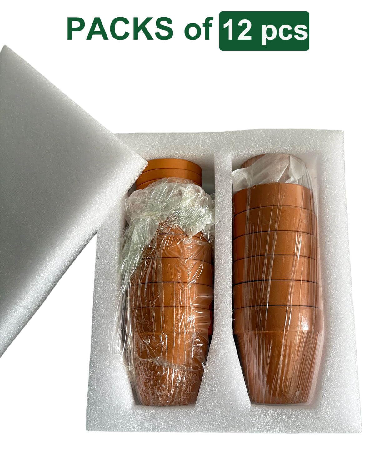 Generic terracotta pot size comparison showing 3-inch height.