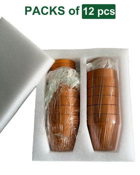 Generic terracotta pot size comparison showing 3-inch height.