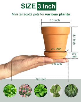 Generic terracotta pot with saucer, 12-pack, ready for plant arrangements.