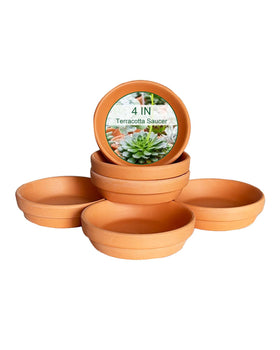 Generic terracotta saucer for 4.2 inch pots protecting surfaces from water spills