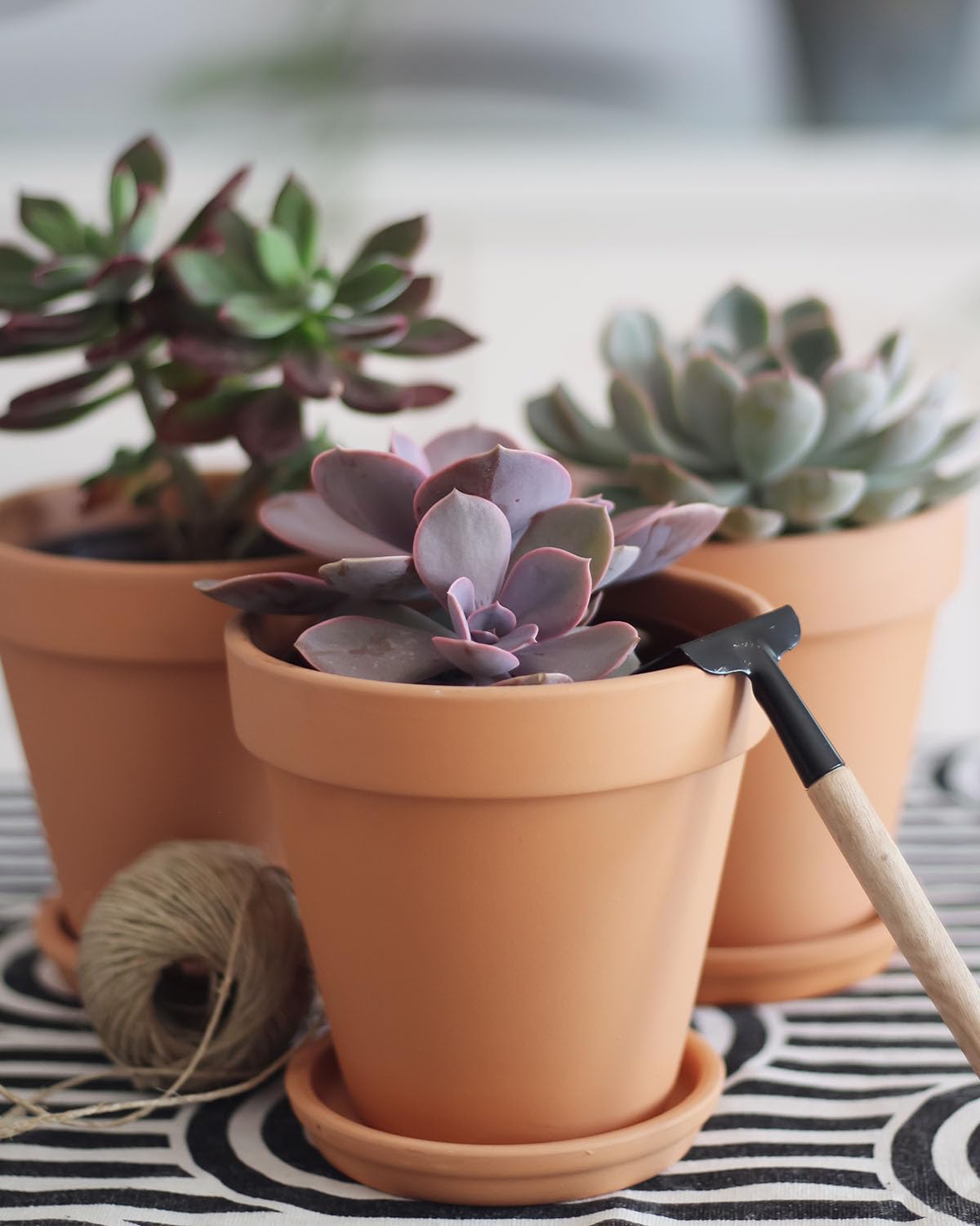 Durable baked terracotta saucer resists cracking