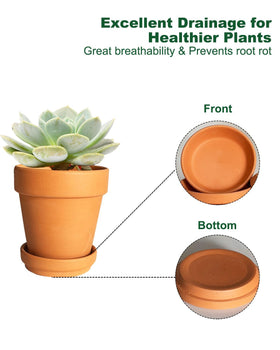 Six-pack terracotta saucers for multiple indoor and outdoor plants