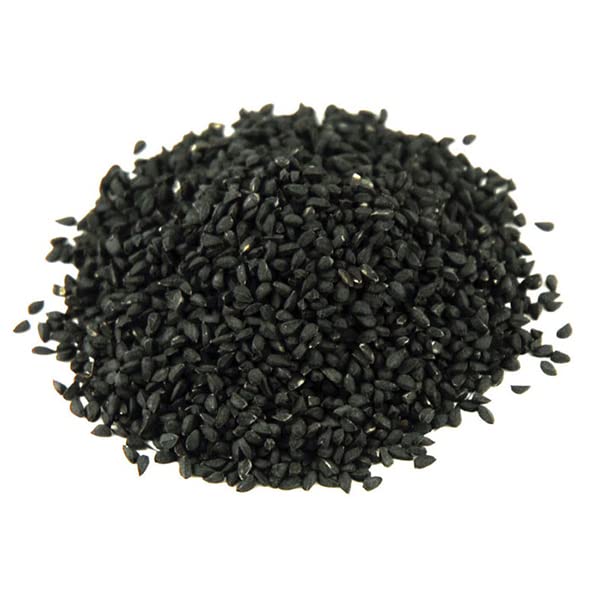 Generic Tokyo Long White Bunching Onion seeds germination closeup for fresh greens.