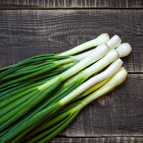 Generic Tokyo Long White Bunching Onion seeds pack shot for easy home gardening.