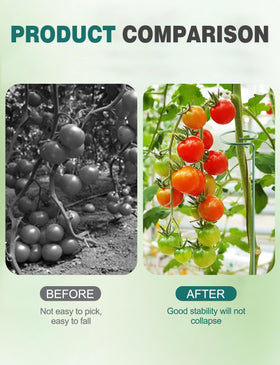 Generic tomato spiral stake aiding cucumbers as they climb along a trellis.