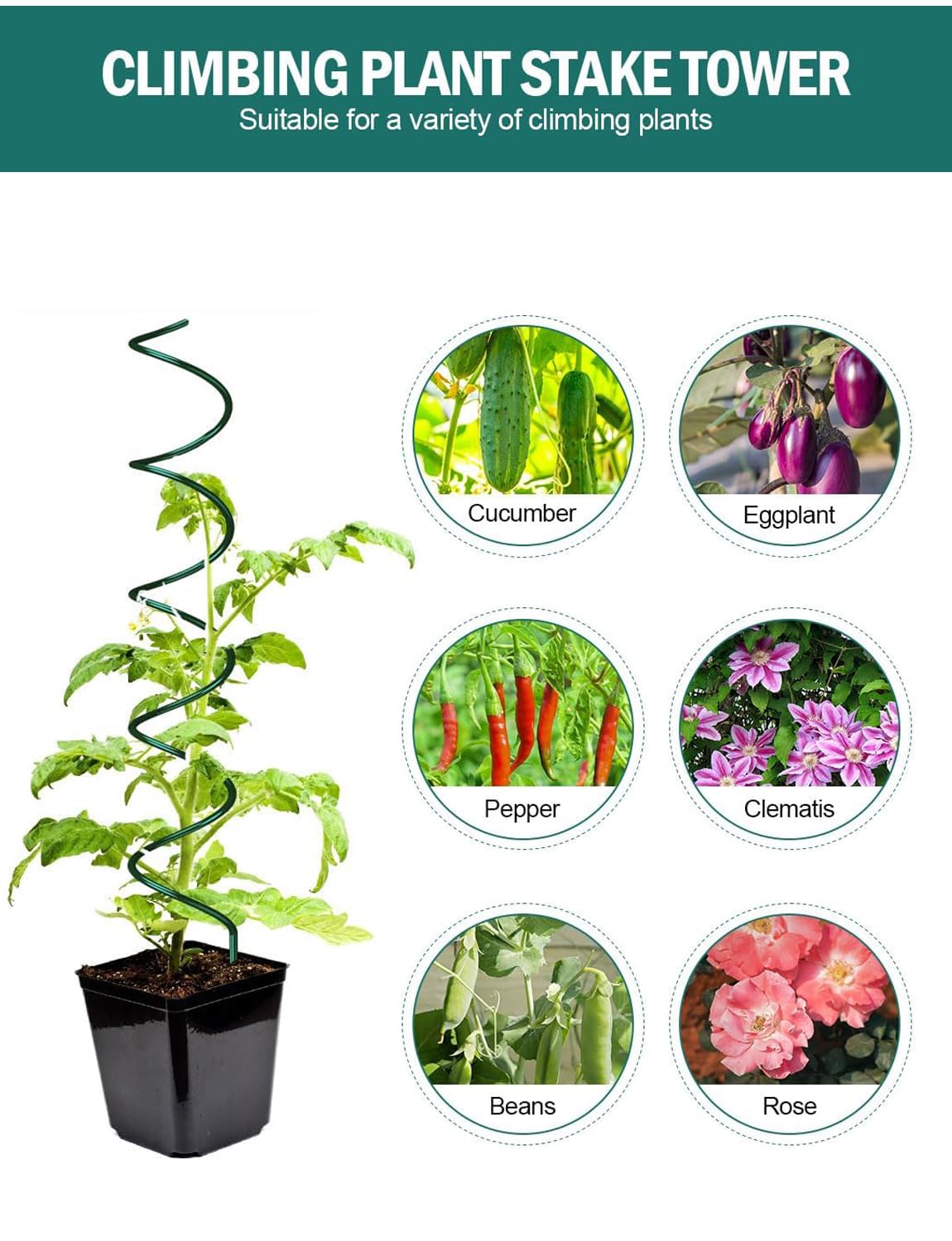 Generic tomato spiral stake installed in a large pot for vertical gardening.