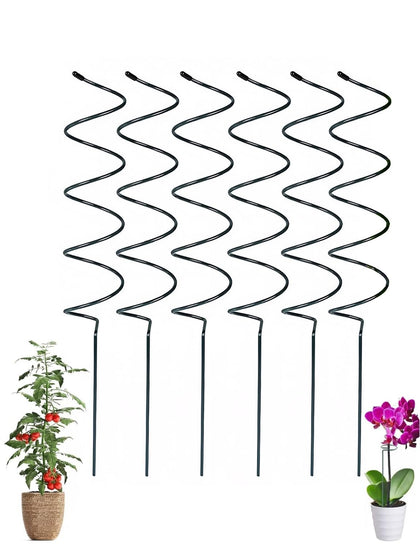 Generic tomato spiral stake pack six supports climbing plants for neater growth.
