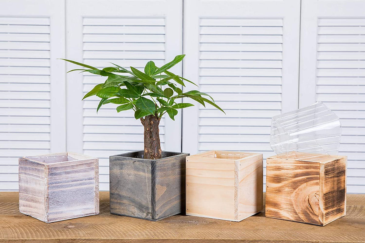 Transparent liner without drainage holes helps prevent leaks.