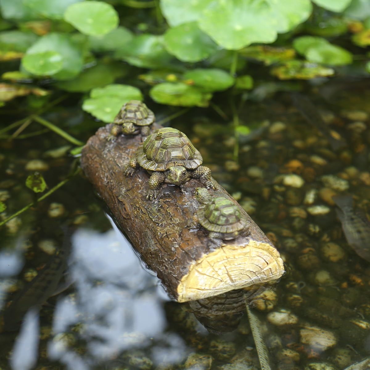 Generic turtle floating sculptures on a water feature add gentle movement to landscapes.