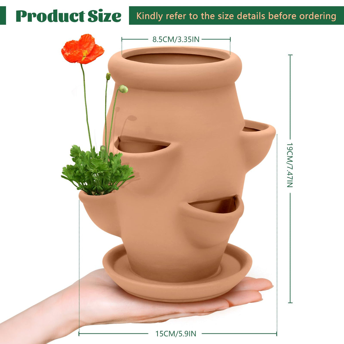 Generic vertical multi-pocket planter assembly demonstrates efficient space use for strawberries and succulents